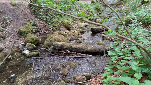 Water Flowing in the River