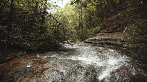 A River Stream Flowing Through Bed Of Rocks