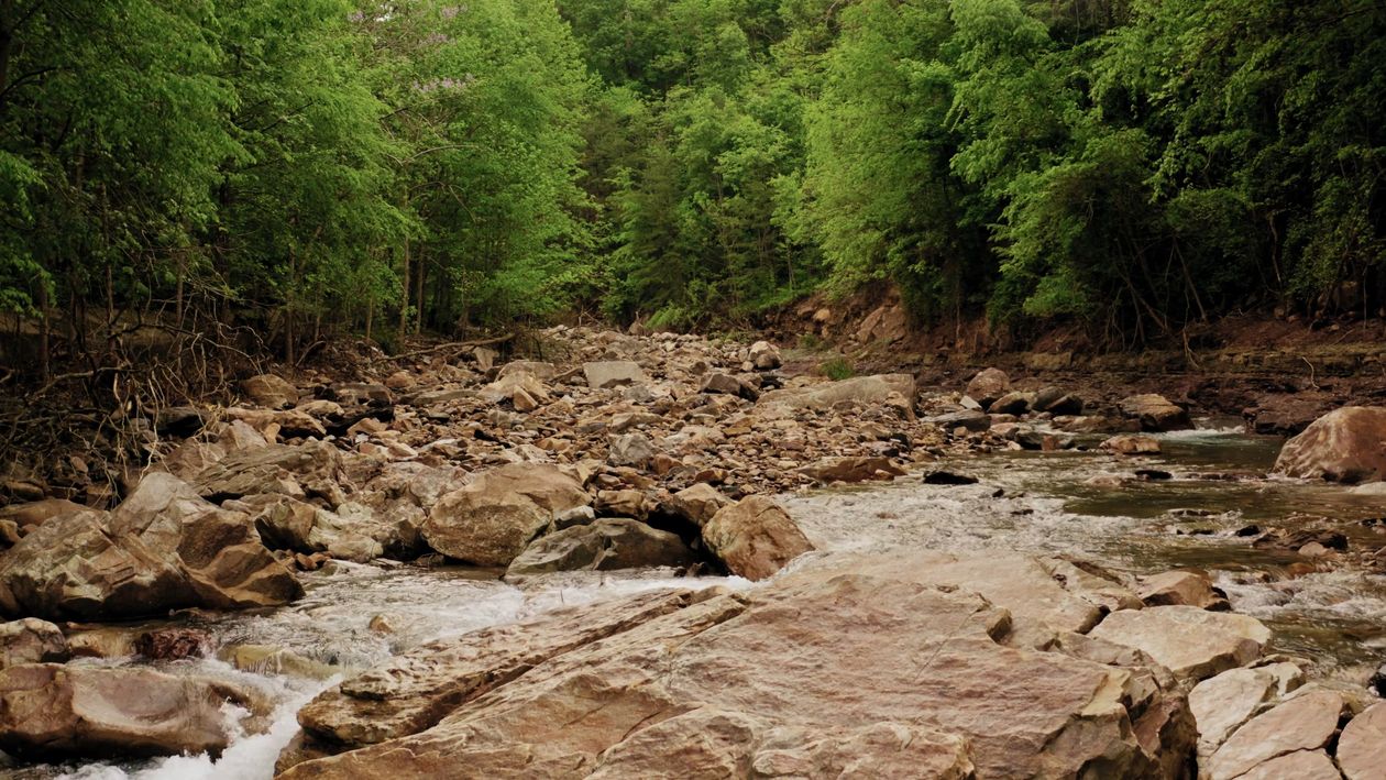 A Drone Shot of a Rocky River in the Forest Free Stock Video Footage ...