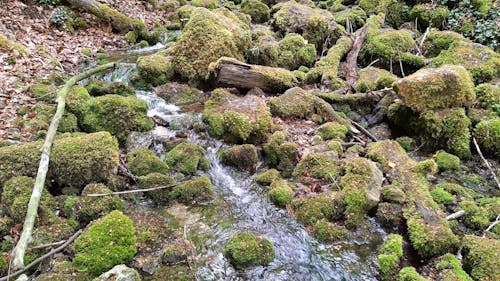 Cascading Water in the River