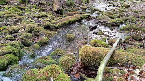 Water Flowing in the River