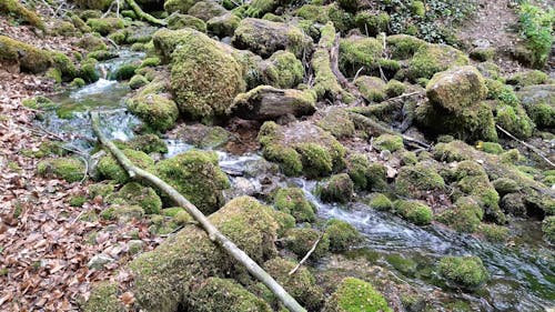 Water Flowing in the River