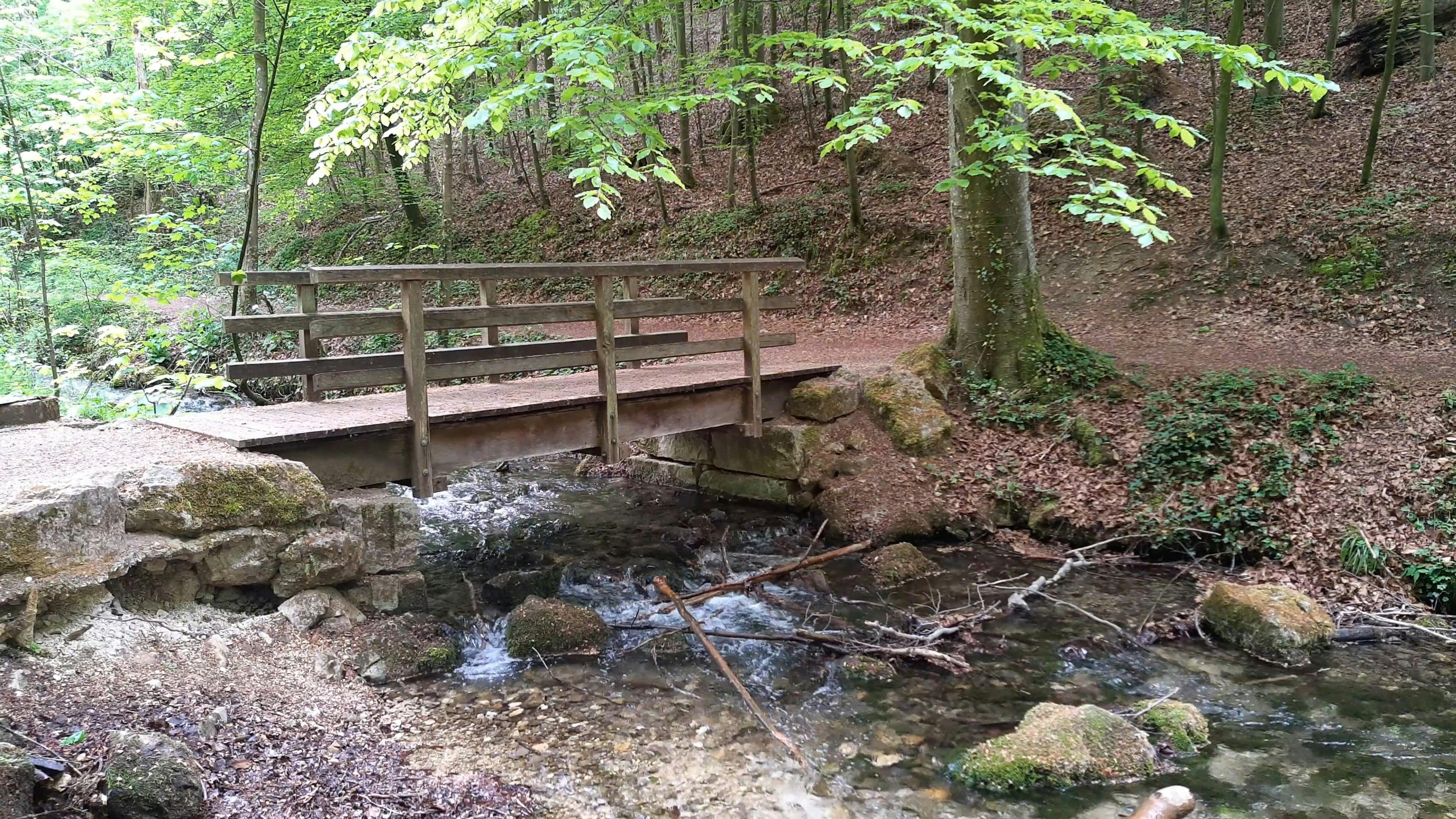 Wooden Bridge Across A Creek · Free Stock Video