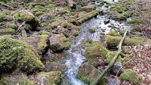 Flowing River on a Mossy Rocks