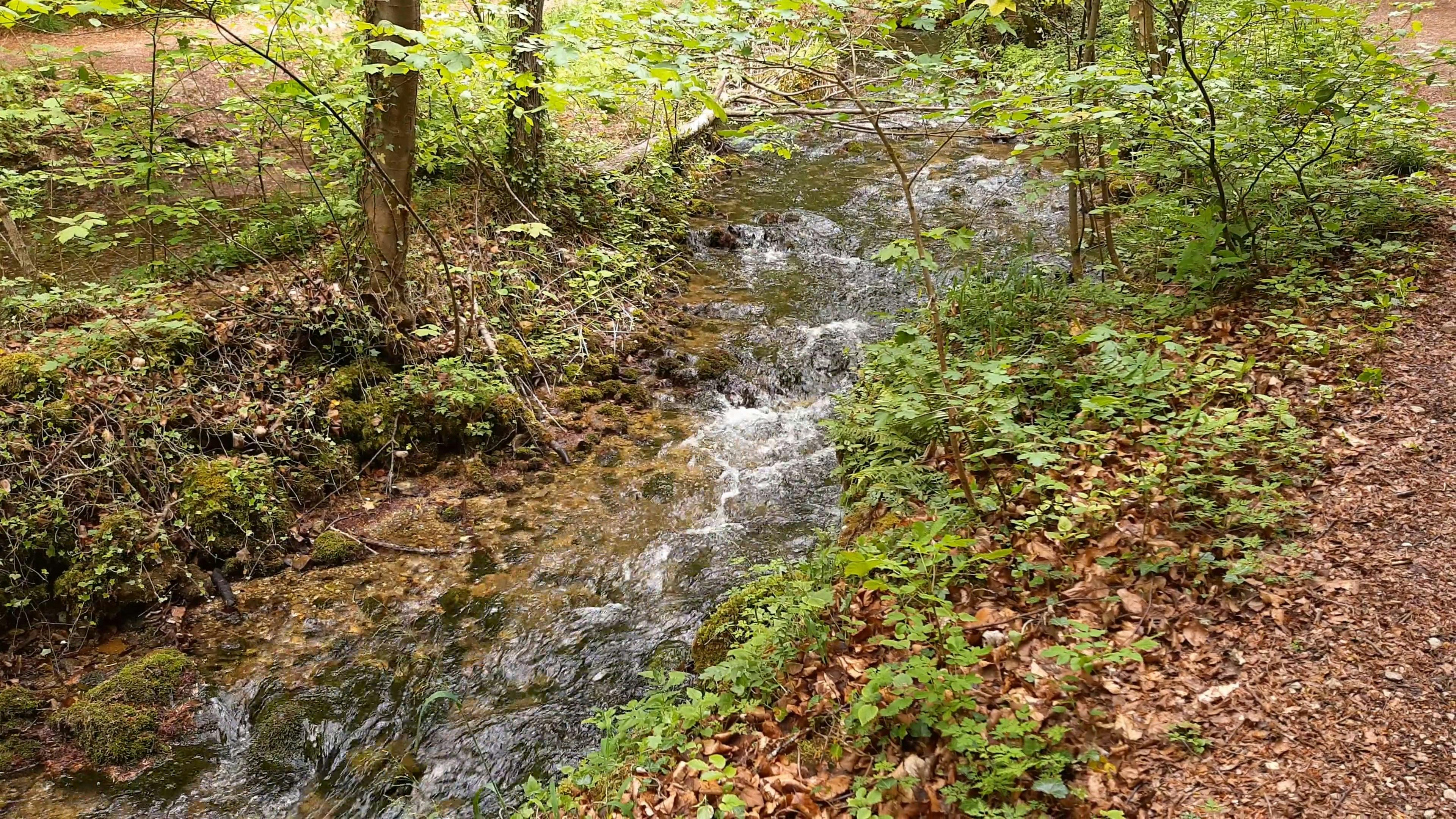 Video by Street Donkey