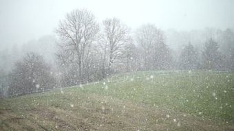 下雪免费下载视频素材