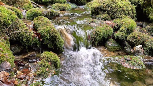 Flowing River on a Mossy Rocks
