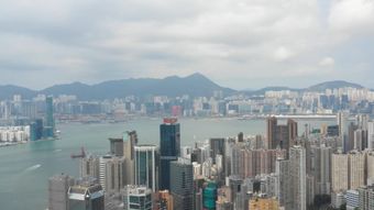 维多利亚港高清视频高清视频视频素材