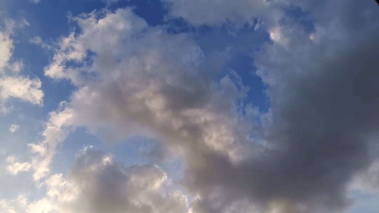 Video by George Morina
