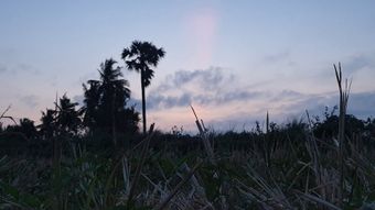 晨曦视频素材视频素材免费下载视频素材