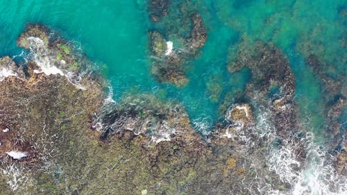 Aerial Footage of Waves Crashing on Rocks