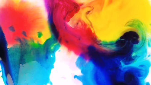 Bright Colors Photos, Download The BEST Free Bright Colors Stock Photos &  HD Images