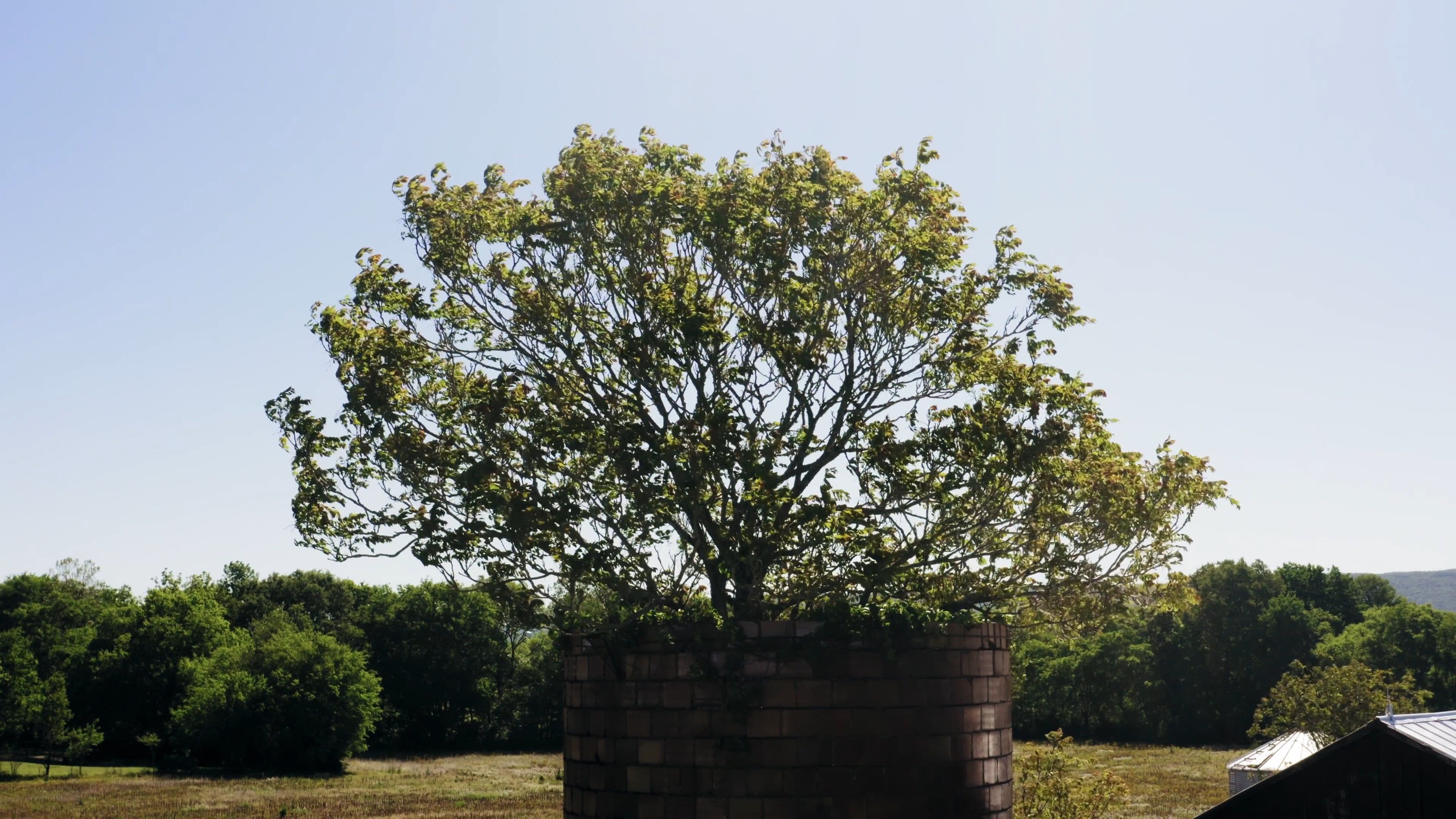 Proportion Landscaping Videos, Download The BEST Free 4k Stock Video ...