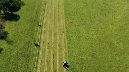 Aerial Footage of a Tractor Cutting Grass on the Field