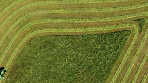 A Tractor Working in the Field