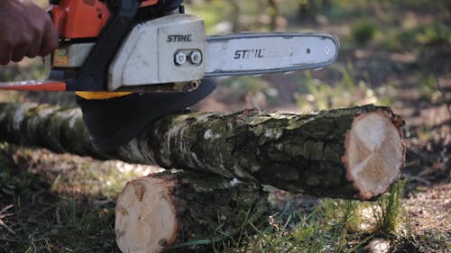 Cutting Tree Trunk For Fire Woods