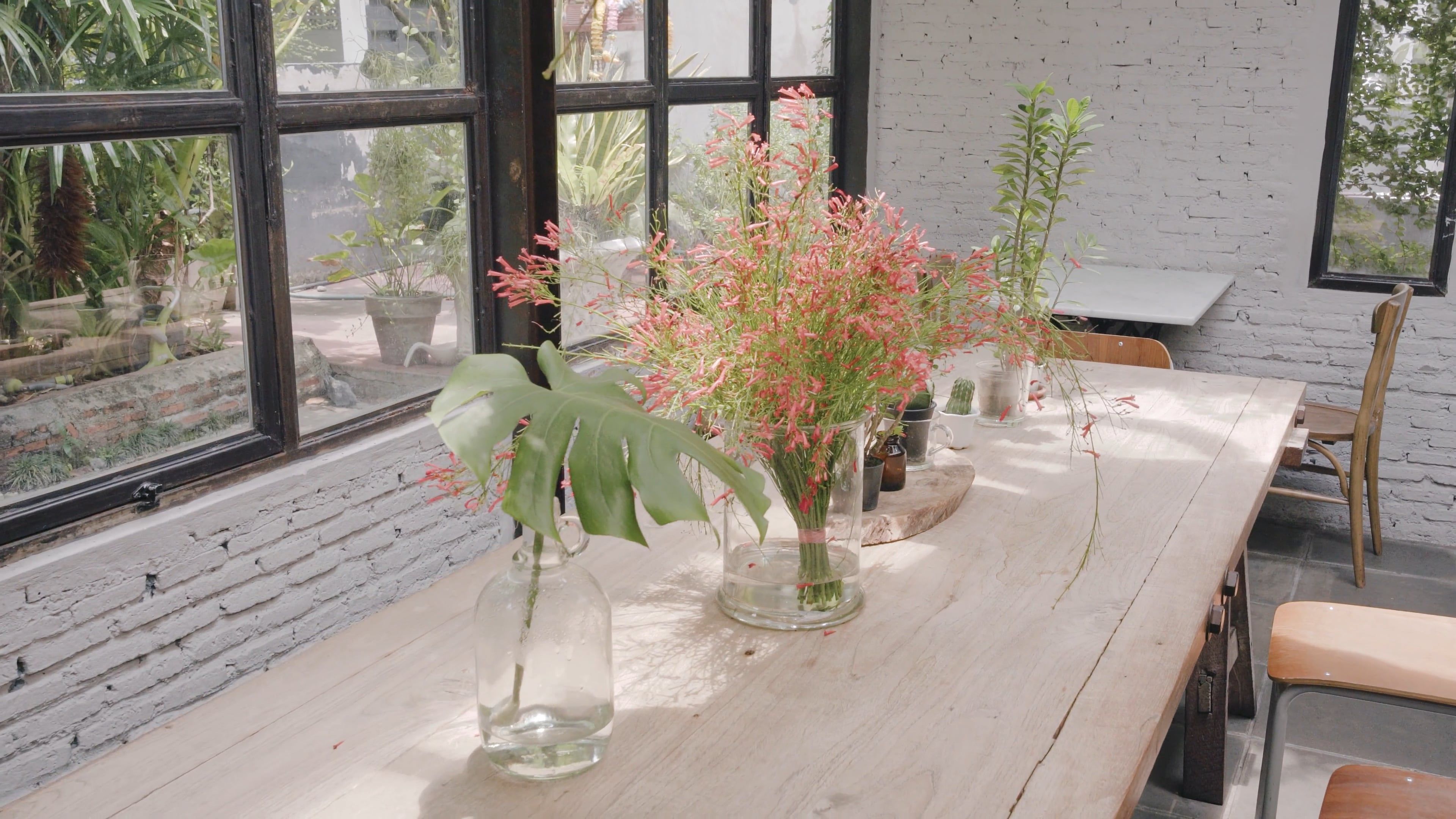Footage of Water Plants on the Table Free Stock Video Footage, Royalty ...