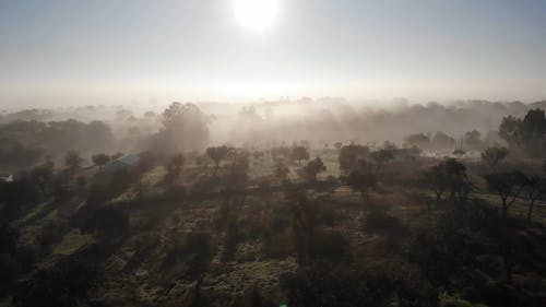 Drone Footage Of Fogs Covering The Ground In Early Morning