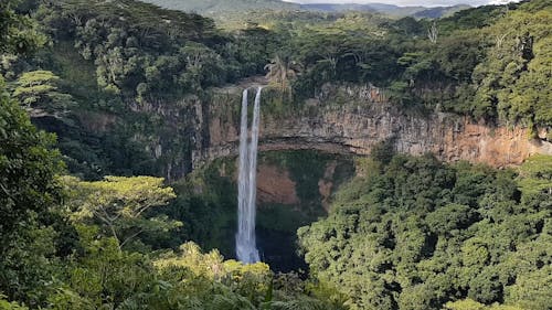 A Shot of a Waterfall in the Middle of the Forest