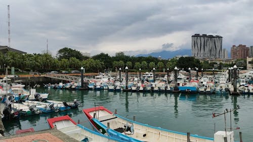 Boats Docked on a Harbor