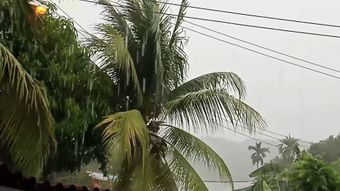 视频素材预览