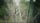 depth of field