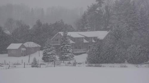 Houses Covered with Snow