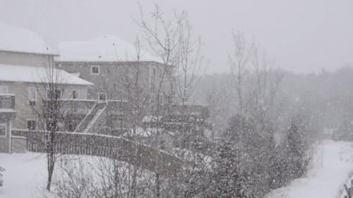 Houses Covered with Snow