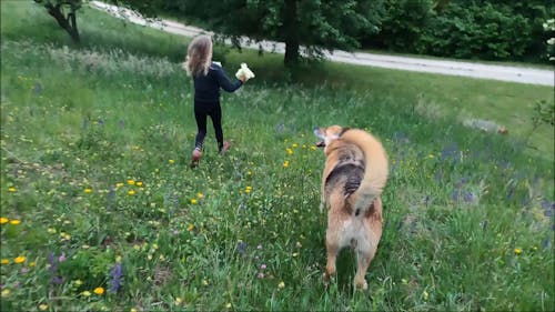 Girl and Dog Running in Grass Field