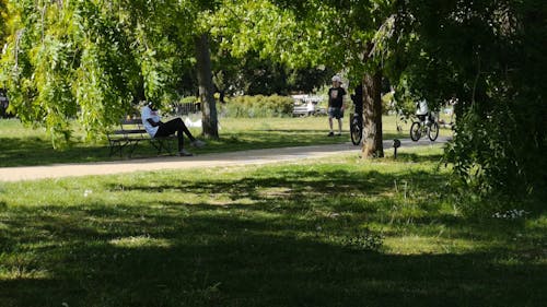 People Walking in the Park