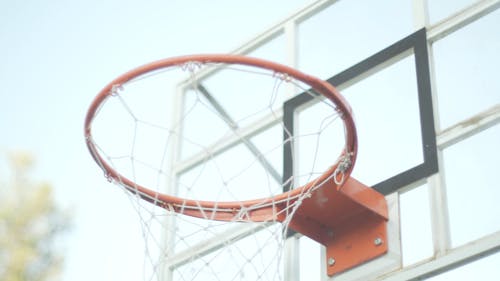 Basquetebol Vídeos e Clipes de stock para Baixar Grátis