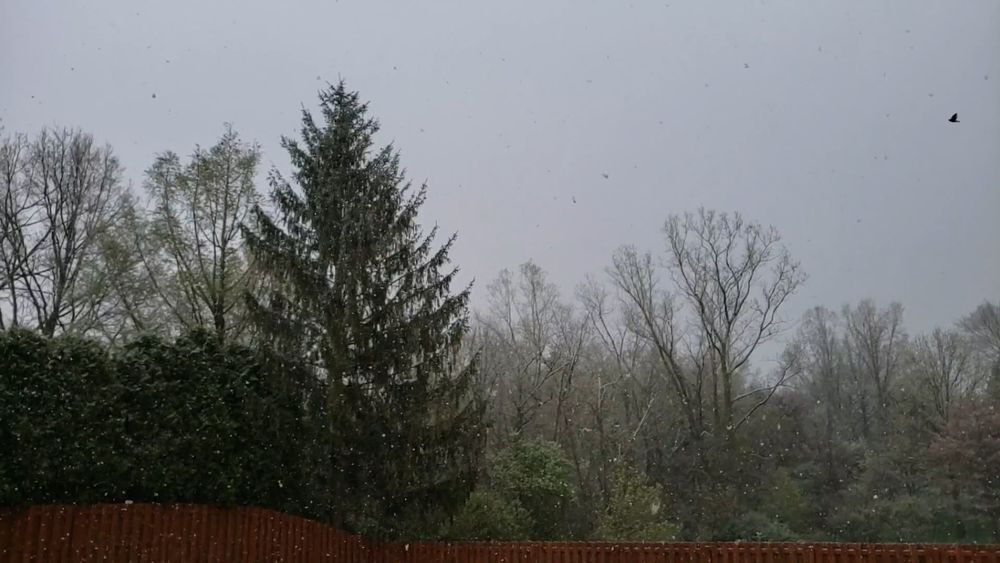 Snow Falling Down · Free Stock Video