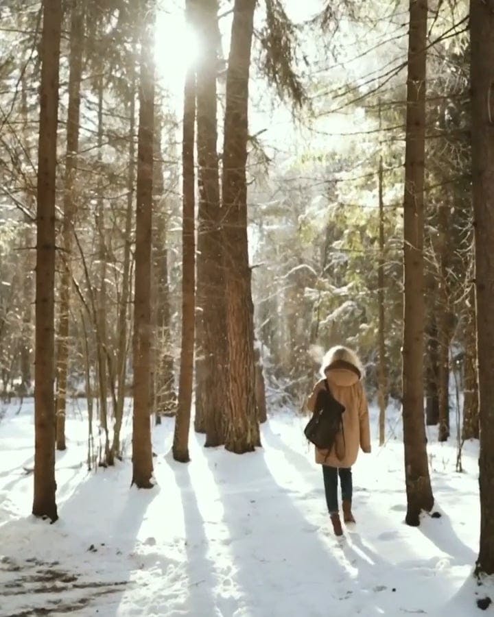 Video by Yaroslav Shuraev