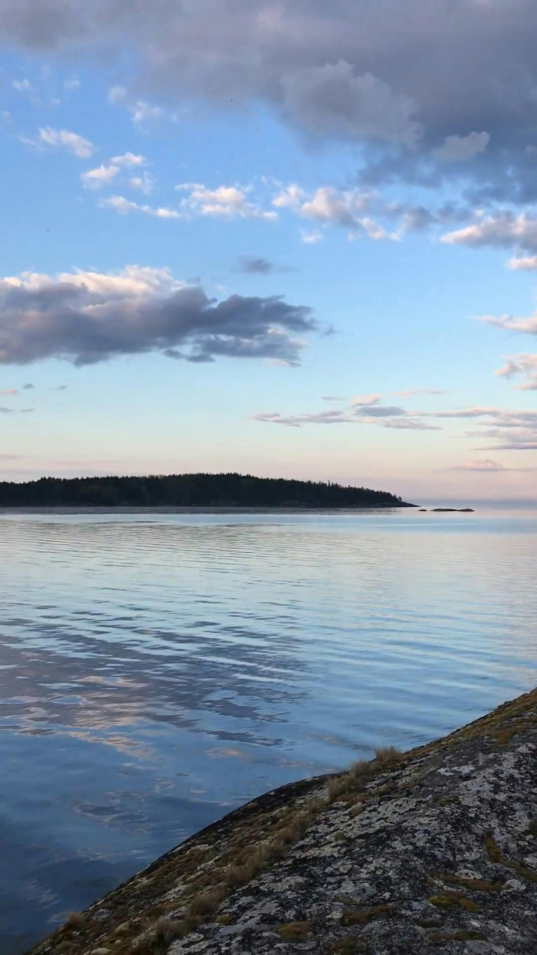 Video by Yaroslav Shuraev