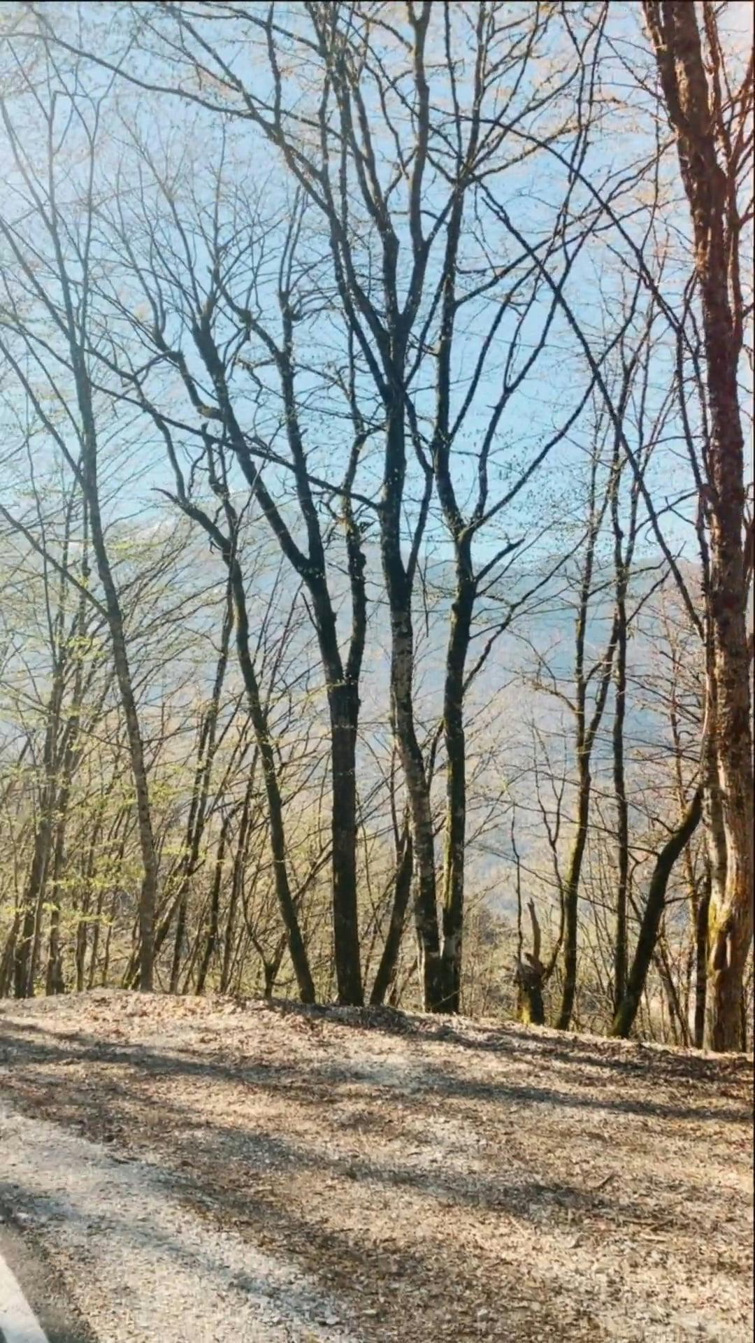 Video by Yaroslav Shuraev