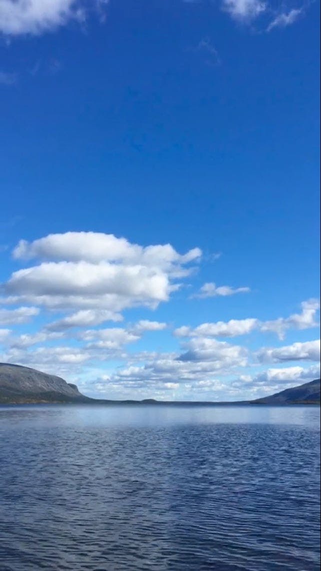 Video by Yaroslav Shuraev