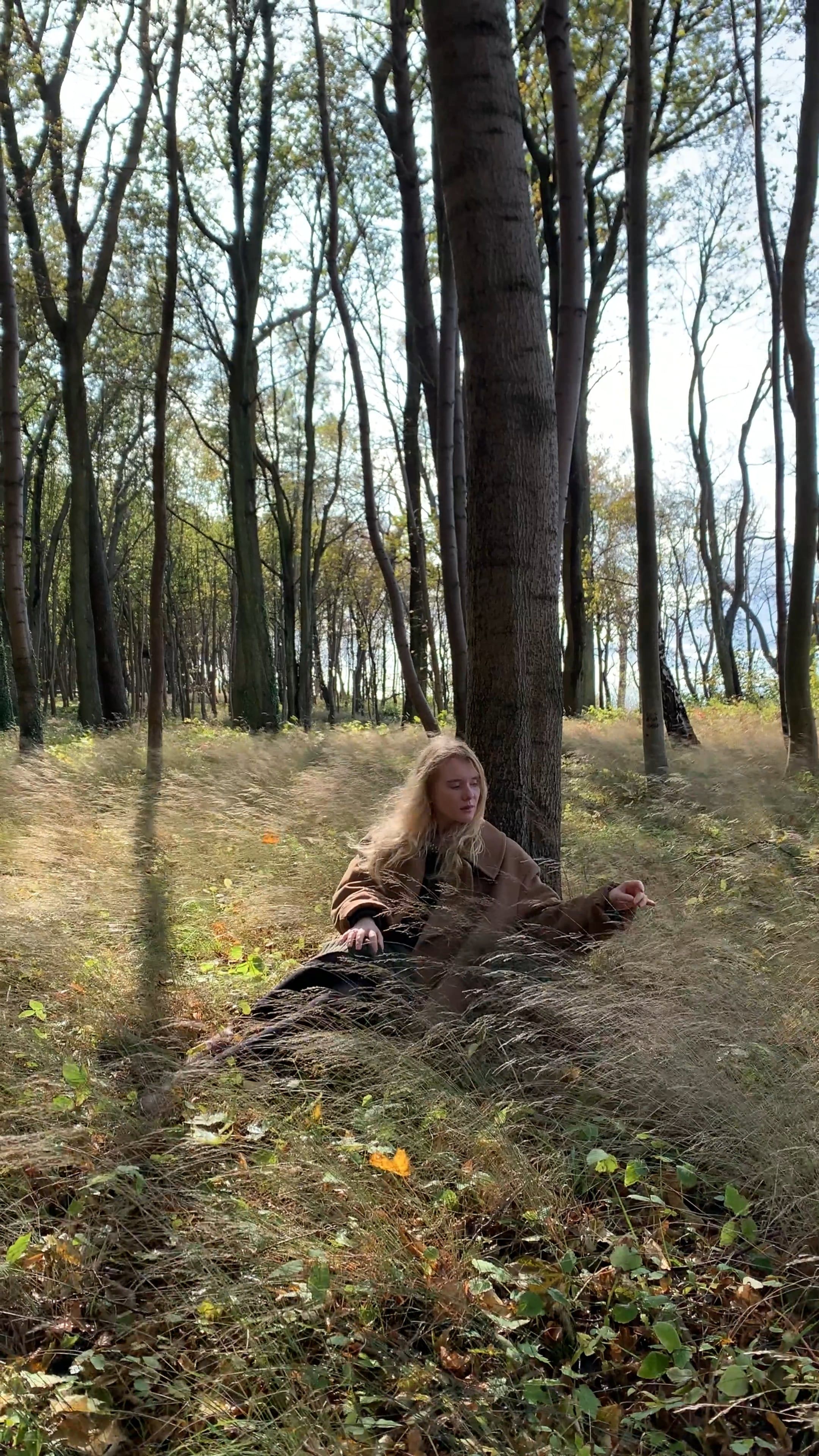 A Woman Sitting Down on the Grass in the Forest Free Stock Video ...
