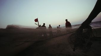 渔民捕鱼视频素材高清视频高清视频免费下载视频素材