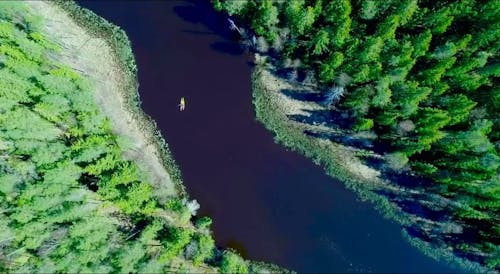 Drone Footage of Person Kayaking in the River