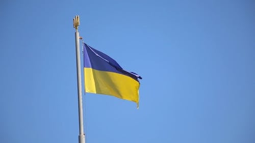 Ukraine Flag