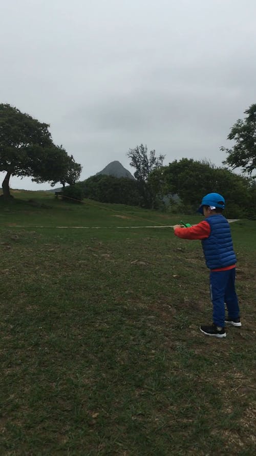 Little Boy Flying a Kite