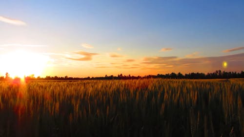 Video Of A Rural Area