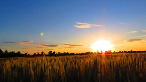 Sunset View Over Field