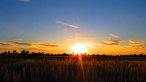 Grassland During Sunset