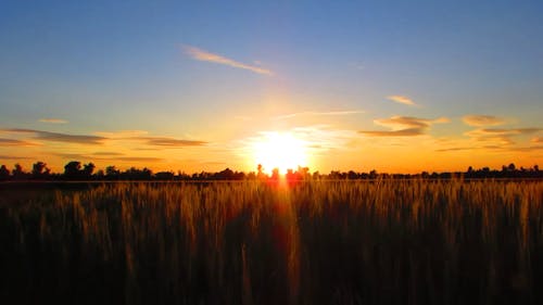 Sunset Over Field