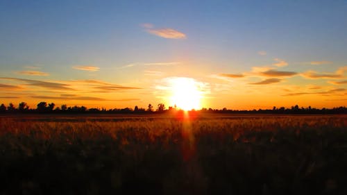 Sunset Over Wheat Field