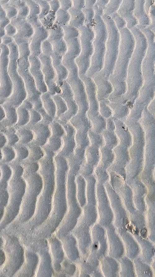 Person Walking on the Sand