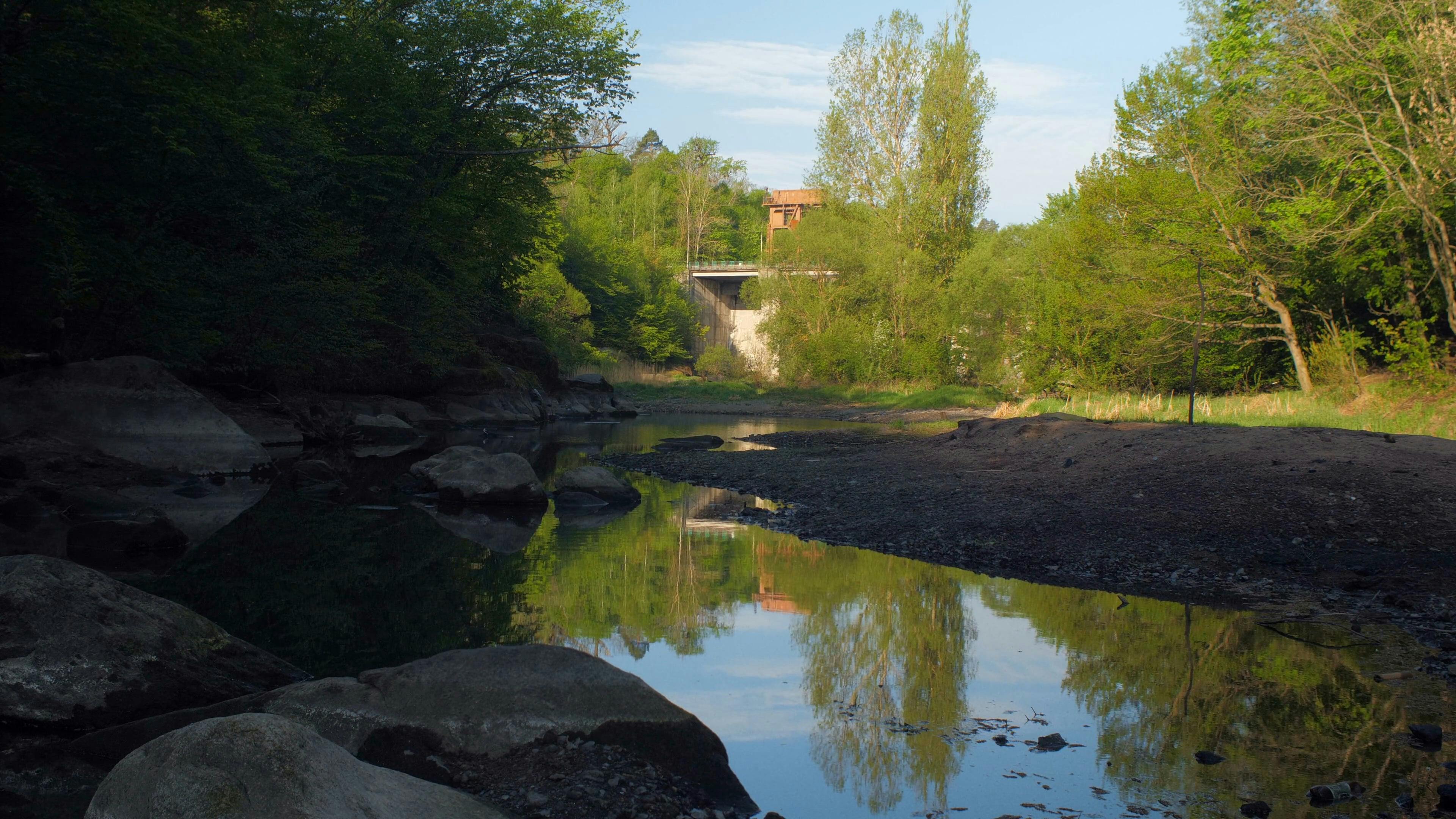 Video by Grisha Grishkoff