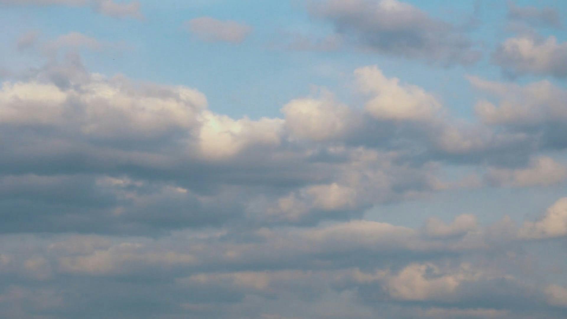 Video by Artyom Saqib