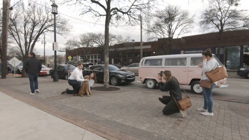 People Taking Photo of the Dog
